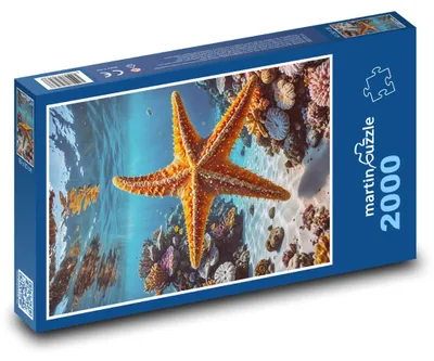 Zdjęcie produktu dla Puzzle 2000 Rozgwiazda w morzu - martinpuzzle