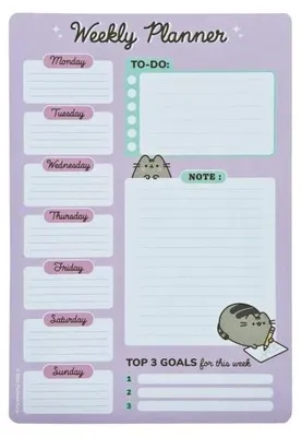 Image de Agenda hebdomadaire Pusheen PUSE0793 - UNDERCOVER