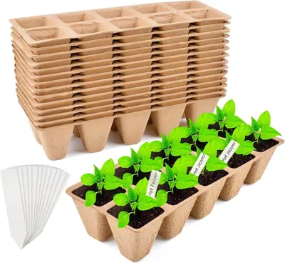 Produktbild von Anzuchtplatten mit 240 Zellen 24 Stück 10 Zellen 4 cm Keimtopf , Garten Anzucht