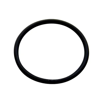 Produktbild von O-Ring 20x1,5 mm Ansaugstutzen Bing Vergaser für Puch Maxi P Plus Racing X 30 50 MV X50-3 X50-4 Turbosport