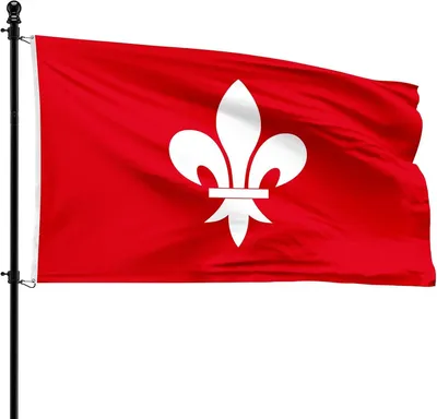 Imagen del producto de Bandera del municipio de Houffalize, 90 x 150 cm, de poliéster, para asta de bandera