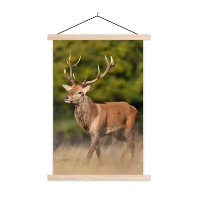 Produktbild von MuchoWow® Textilposter Tiere - Hirsche - Geweihe - Waldtiere - Natur 40x60 cm mit holzfarbenen Rahmen - Poster