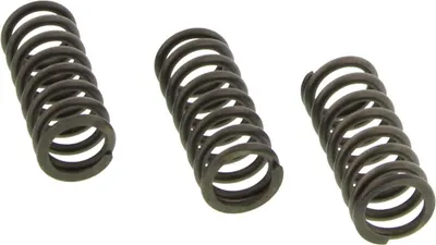 Immagine prodotto di Kit 3 molle frizione EBC CSK202