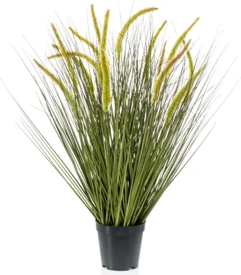 Produktbild von Emerald Künstliches Gras - Jonna | 70 cm, für drinnen, Kunstpflanze, wie echt, Allergiker geeignet, pflanzliche Dekoration Praxis, Office & Wohnzimmer