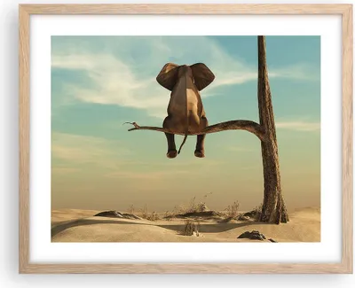Produktbild von Gerahmtes Poster - Rahmen in heller Eiche - Elefant sitzend Ast - 50x40 cm - Wand Bild - Wanddeko - Wandbilder - Kunstposter - Wandposter - Bilderrahmen - Bilder - Kunstdruck - P2NAA50x40-4557