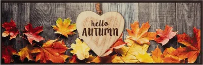 Produktbild von vidaXL Küchenteppich Waschbar Herbst 60x180 cm Samt