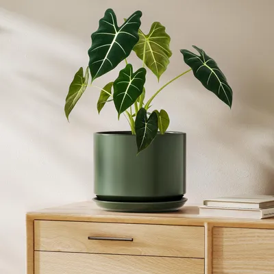 Immagine prodotto di Vaso in Vetroceramica per piante con sottovaso, colore nero, diametro 20 cm, altezza 16 cm