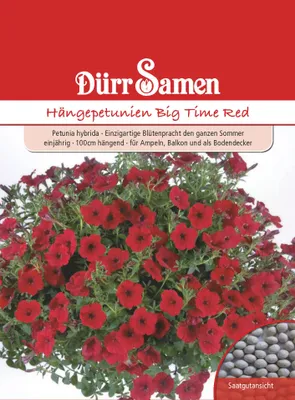 Produktbild von Dürr-Samen - Petunien Big Time Red einjährig 100 cm - Saatgut - 1093