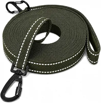 Produktbild von Hundeleine 5 m, Nylon, reflektierend, 2 cm breit, für Training