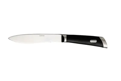 Zdjęcie produktu dla Sambonet Special Knife Edelstahl 18/10 Steakmesser 25,6 S0050-S00013-52552-01