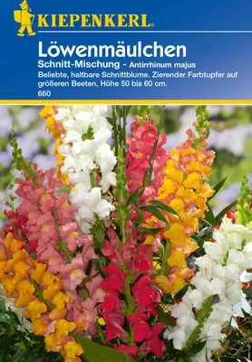 Produktbild von Kiepenkerl Löwenmäulchensamen Schnitt-Mischung