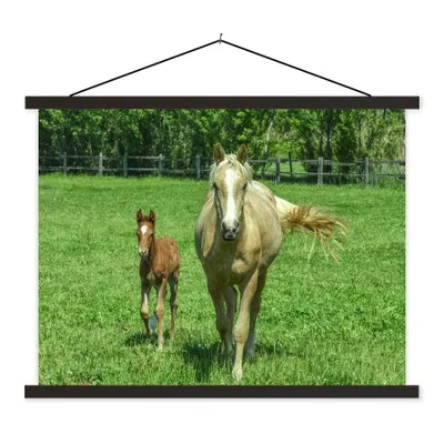 Produktbild von MuchoWow® Textilposter Pferd - Fohlen - Tiere 60x45 cm mit schwarzem Rahmen - Poster Schlafzimmer