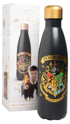 Produktbild von Grupo Erik Harry Potter Hogwarts Trinkflasche Edelstahl Thermosflasche