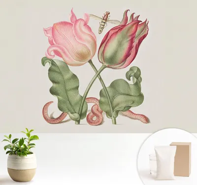 Produktbild von Fototapete  - 104x70 cm - Tapete - Wandtapete - Wandbilder  - Dekofolie - Tapete Folie - Wand - Dekoration - Wohnzimmer - Tulpenschönheit