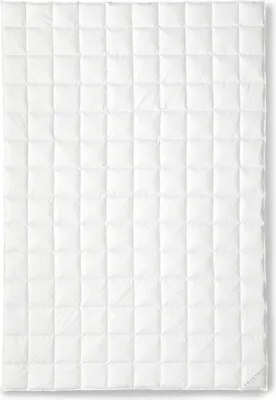 Produktbild von OBB Black Forest Sommerdecke Birta 155x220 cm, Gänsedaunen-Einziehdecke
