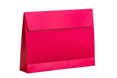 Immagine prodotto di Busta regalo in carta patinata lucida, 160 gr, ROSA, formato 30x6x22 cm, 10 pezzi.