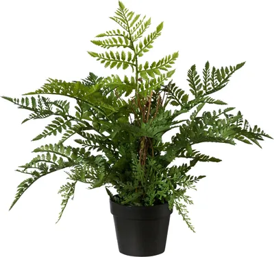 Produktbild von Kunstpflanze Farn in Topf Höhe: 35 cm grün