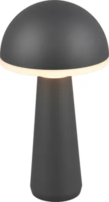 Obrázek produktu pro Bezdrátová venkovní stolní lampa s vestavěnou LED 2W FUNGO RL