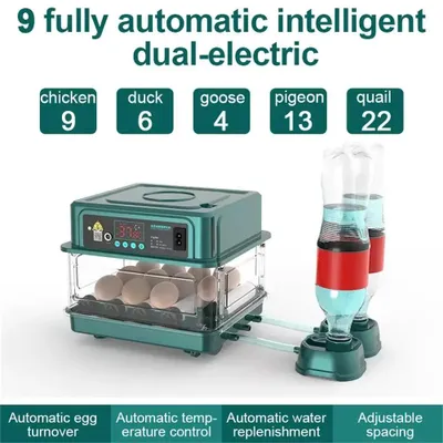 Immagine prodotto di Incubatrici automatiche per uova - Capacità: 9 uova - Funzioni: rotazione automatica, controllo della temperatura e dell'umidità - Adatte per uova di gallina e di quaglia - Dimensioni: 40 x 31 x 19 cm