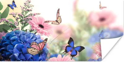 Produktbild von MuchoWow® Poster Schmetterlinge - Blumen - Hortensie - Insekten 40x20 cm - Poster für die Wand - Poster Schlafzimmer