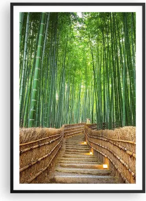 Produktbild von Gerahmtes Poster - Schwarzer Rahmen - Bambus Pflanze - 70x100 cm - Wand Bild - Wanddeko - Wandbilder - Kunstposter - Wandposter - Bilderrahmen - Bilder - Kunstdruck - Wandbild - P2BPA70x100-3979