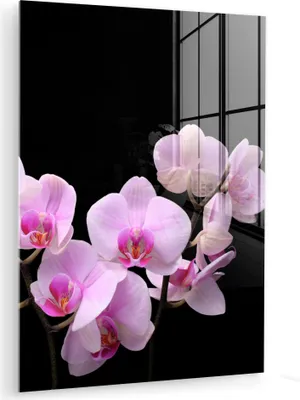 Produktbild von MuchoWow Glasbilder - Bilder auf Wandbild - Foto auf Glas Orchidee - Blumen - Rosa - Flora 60x80 cm Wanddekoration aus Glas - Acrylglasbild - Acrylbilder - Foto