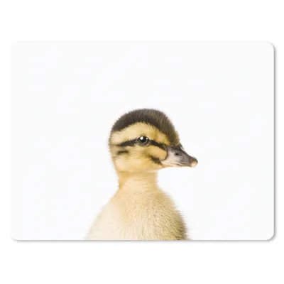 Produktbild von MuchoWow® Mauspad Mousepad Ente - Gelb - Tiere - Natur 23x19 cm - Mousepads - Maus Mat - Pad - Mausunterlage - Schreibtischunterlage - Mauspad
