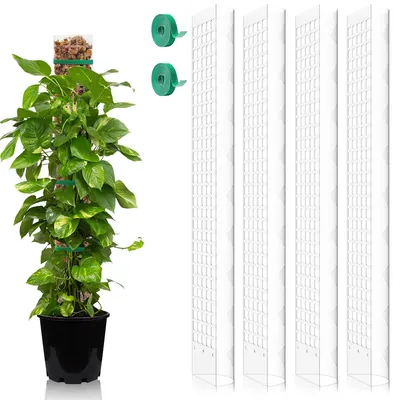 Produktbild von Monstera Rankhilfe 4 Stück 24 Zoll Moosstab Pflanzen Moosstangen Set Rankhilfe Zimmerpflanze Moss Pole Erweiterbar DIY Moosstab für Monstera Weiß
