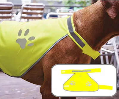 Obrázok produktu pre Korntex Elastická Hi-Vis bezpečnostná vesta pre psy Buenos Aires