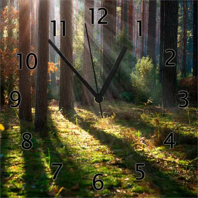 Produktbild von Wallario Design Wanduhr Sonnenstrahlen im Herbstwald aus Echtglas, Größe 30 x 30 cm