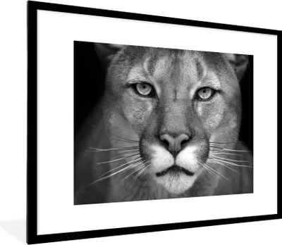 Produktbild von MuchoWow® Gerahmtes Poster Panther - Wildlife - Schwarz - Weiß 80x60 cm - Poster mit Schwarzem Bilderrahmen Wandposter Rahmen Foto Bilder - Schlafzimmer-Dekorationen - Fotoposter