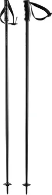 Produktbild von HEAD Head Ski-Stock MULTI black black 000 - 125