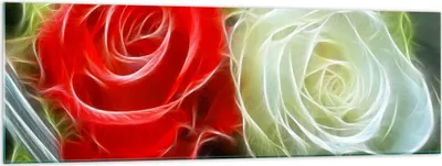 Produktbild von Bilder auf glas - Blumen Blumenstrauß Rose - 160x50cm - Glasbilder - Wandbilder - Kunstdruck - zum Aufhängen bereit - Wanddekoration aus Glas - Glas Bilder - Wandbild auf Glas - GAB160x50-0336