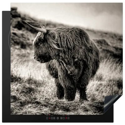 Obrázek produktu pro KitchenYeah® Krycí deska na sporák Scottish Highlander - Cows - Black - White , 78x78cm, dekorace do kuchyně, keramická krycí deska na sporák, krycí deska na varnou desku