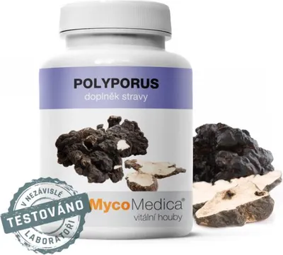 Obrázek produktu pro MycoMedica Polyporus 90 tobolek MYCOMEDICA