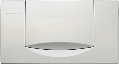 A white flush plate for a toilet cistern.