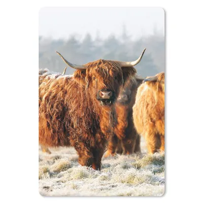 Produktbild von MuchoWow® Mauspad Mousepad Schottische Highlander - Schnee - Wald 18x27 cm - Mousepads - Maus Mat - Pad - Mausunterlage