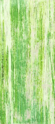 Immagine prodotto di KNORR PRANDELL 218301448 Piastre in cera 175 x 80 x 05 mm verde