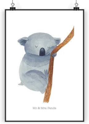 Produktbild von Mr. & Mrs. Panda Bild Koalabär DIN A4 - Weiß - Geschenk, Kunstdruck, wanddeko, Deko, Koala, poster, schlafen, Lustige Sprüche, Träumen, Schlafzimmer, drucke, Bär
