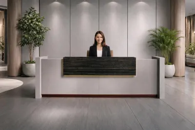 Image de Comptoir d'accueil moderne gris – Meubles en bois exclusifs pour bureau