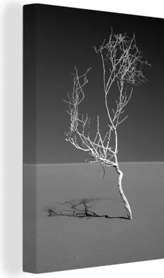 Obrázek produktu pro OneMillionCanvasses® - Obraz na plátně - 90x140 cm, umění přírody, nástěnné dekorace - fotografie na plátně - malba na dřevěném rámu - dekorace na zeď - ložnice