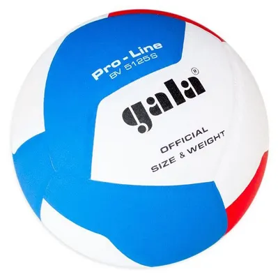 Produktbild von Gala Pro Line 12 Hallenvolleyball