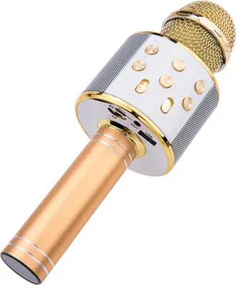 Immagine prodotto di TechKidz, microfono karaoke Bluetooth con slot per schede micro SD, oro