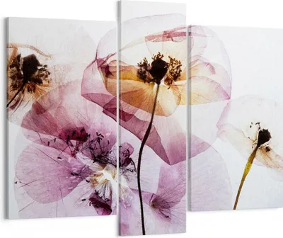 Produktbild von Bild auf Leinwand - Leinwandbild - blume sommer natur - 95x80cm - Wand Bild - Wanddeko - Wandbilder - Leinwanddruck - Bilder - Kunstdruck - Wanddekoration - Leinwand bilder - Wandkunst - CB95x80-3821