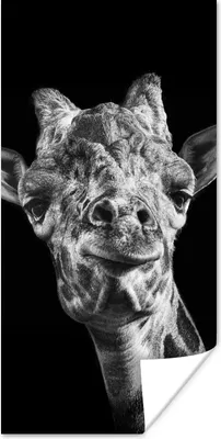 Produktbild von MuchoWow® Poster Giraffe vor schwarzem Hintergrund in schwarz und weiß 60x120 cm - Wandschmuck