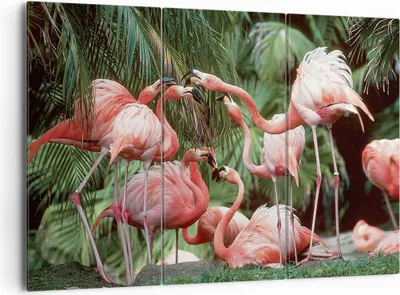 Produktbild von Bild auf Leinwand - Leinwandbild - 3 Teile - Palmen Herde Flamingos - 165x110cm - Wand Bild - Wanddeko - Wandbilder - Leinwanddruck - Bilder - Wanddekoration - Leinwand bilder - CE165x110-4804