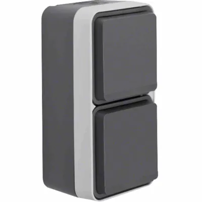 Produktbild von Berker SSD 2F SENKRECHT GRAU MATT W.1 (47703525)
