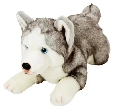 Obrázok produktu pre Plyšová hračka Husky ležiaca 30 cm