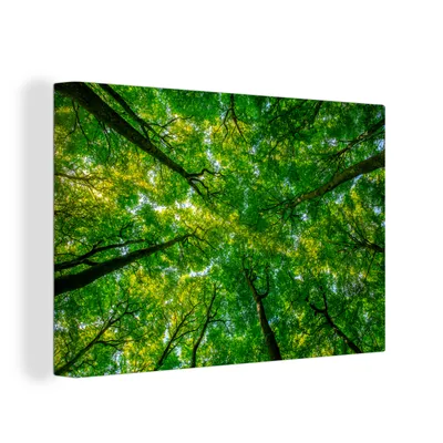 Produktbild von OneMillionCanvasses® - Leinwandbilder - 150x100 cm, Wald - Bäume - Grün, Wandbilder Kunstdruck Wanddekoration