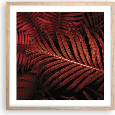 Produktbild von Gerahmtes Poster - Rahmen in heller Eiche - Rot Blätter Palmen - 50x50 cm - Wand Bild - Wanddeko - Wandbilder - Kunstposter - Wandposter - Bilderrahmen - Bilder - Kunstdruck - P2NAC50x50-4816